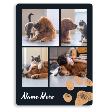 Picture for category Pets